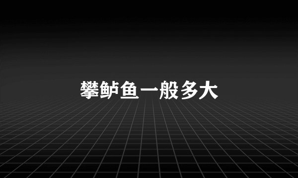 攀鲈鱼一般多大