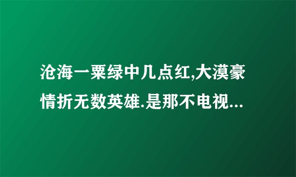 沧海一粟绿中几点红,大漠豪情折无数英雄.是那不电视剧的主题曲。关于狄仁杰的。求全称。