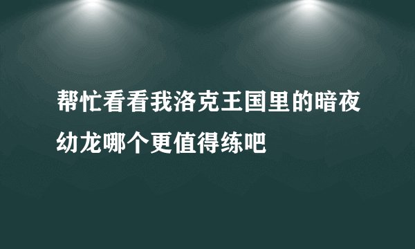 帮忙看看我洛克王国里的暗夜幼龙哪个更值得练吧