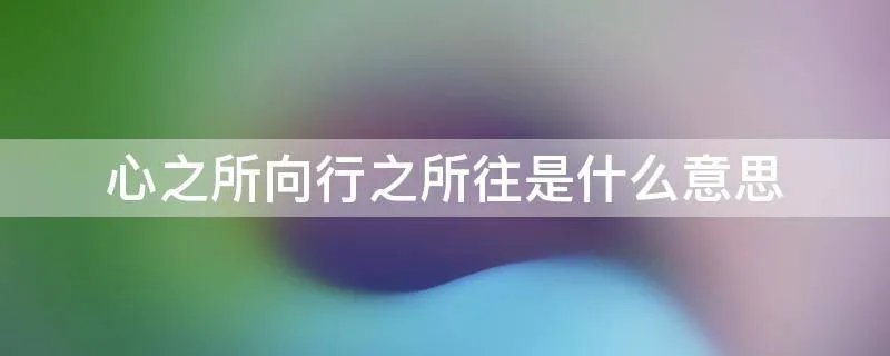 心之所向行之所往是什么意思