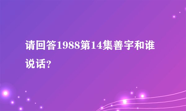 请回答1988第14集善宇和谁说话?