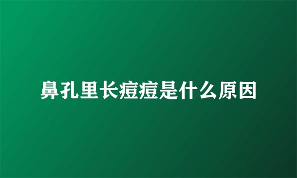 鼻孔里长痘痘是什么原因