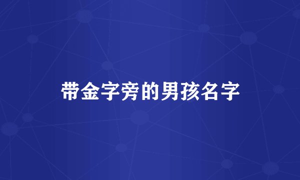 带金字旁的男孩名字