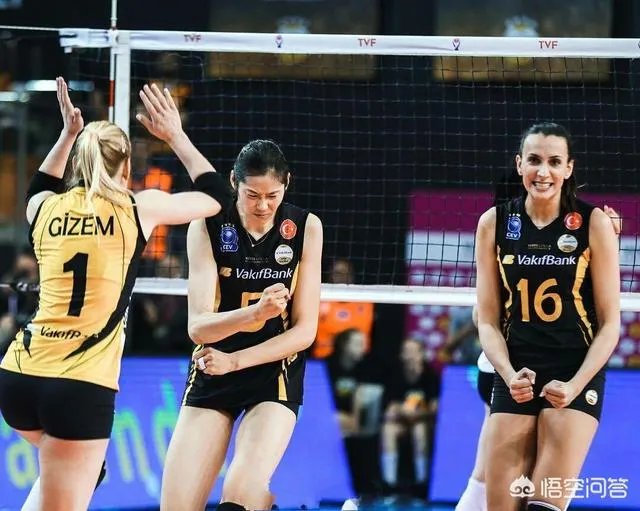朱婷回国后,会加入哪家排球俱乐部?