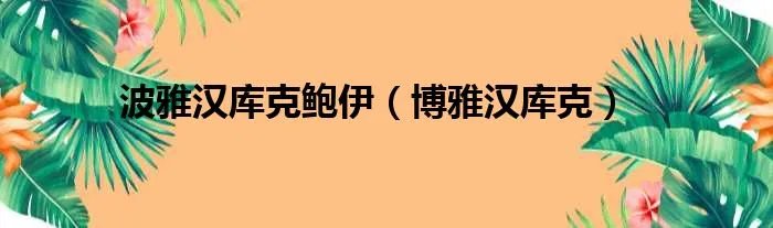 波雅汉库克鲍伊（博雅汉库克）