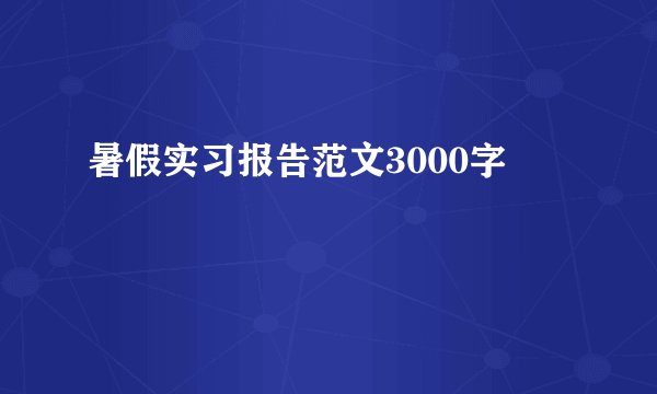 暑假实习报告范文3000字