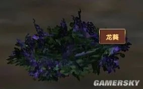 《模拟人生:中世纪》草药种类及分布图