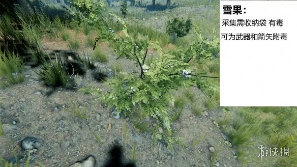 《森林》游戏植物有什么 the forest植物图鉴分享