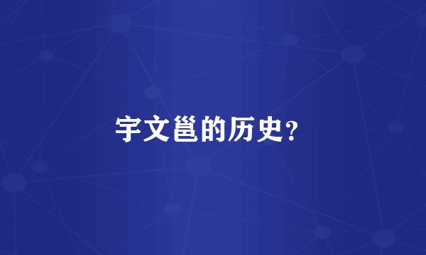 宇文邕的历史？