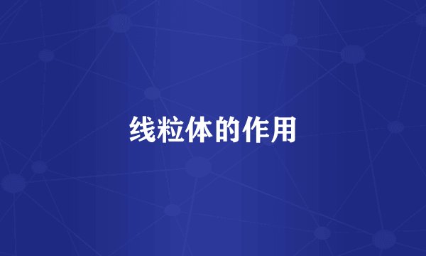 线粒体的作用