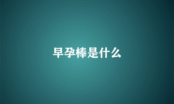 早孕棒是什么