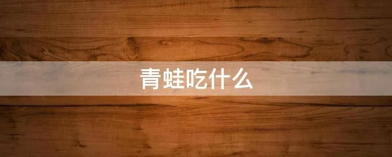 青蛙吃什么