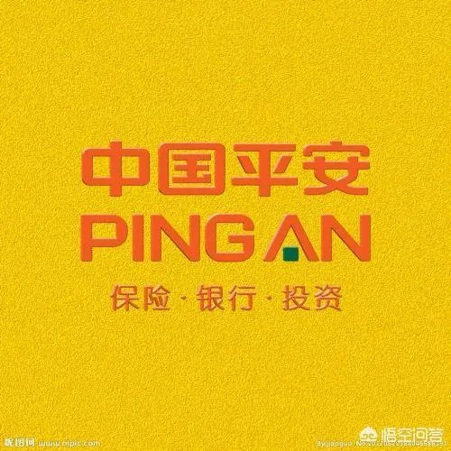 中国最大的私人企业?