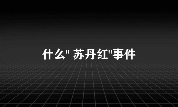 什么