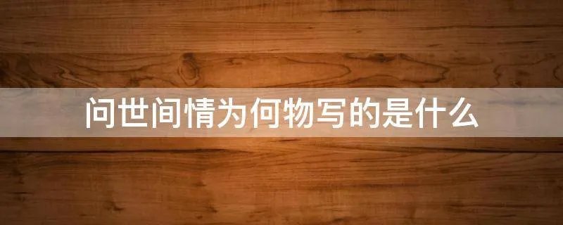 问世间情为何物写的是什么