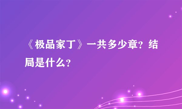 《极品家丁》一共多少章？结局是什么？