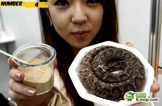 黑暗料理界首领的其它人物