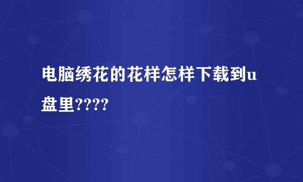 电脑绣花的花样怎样下载到u盘里????