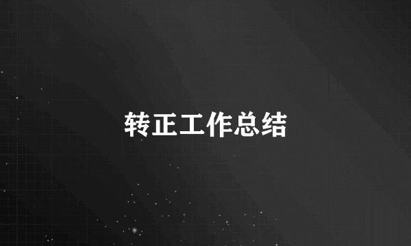 转正工作总结