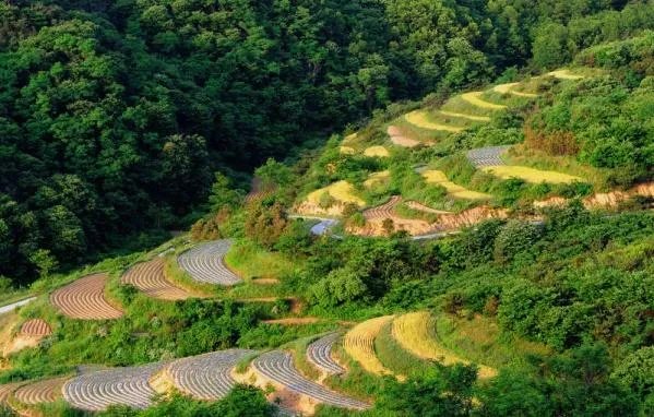 日照五莲山风景区怎么样,值得一去吗?