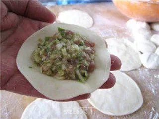 甘蓝菜水饺