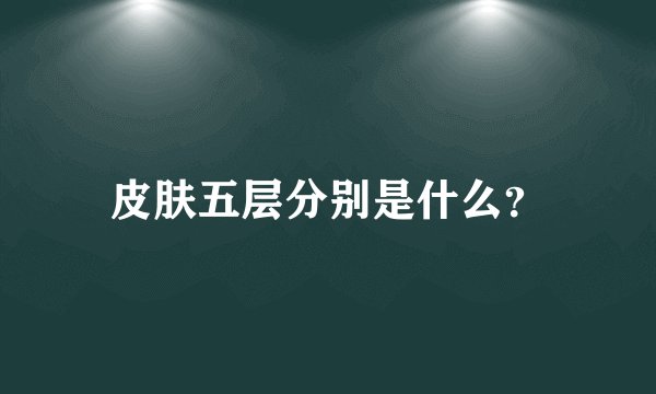 皮肤五层分别是什么？