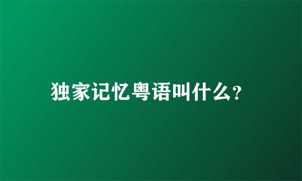 独家记忆粤语叫什么?