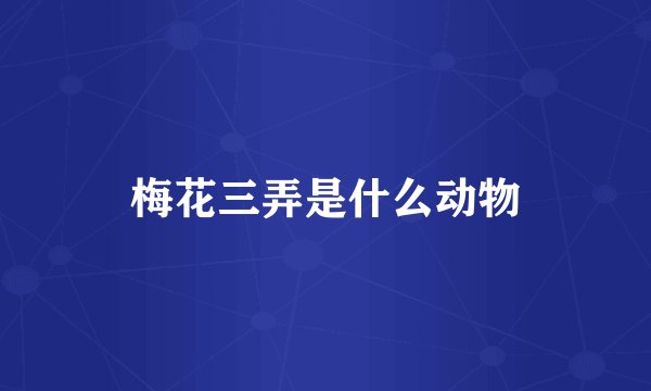 梅花三弄是什么动物