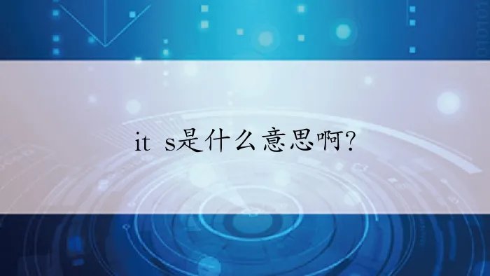 it s是什么意思啊？