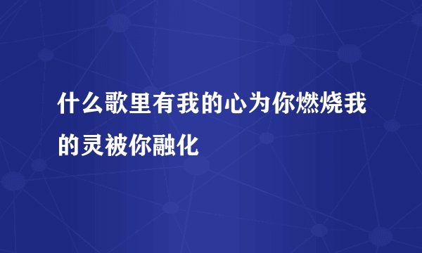 什么歌里有我的心为你燃烧我的灵被你融化