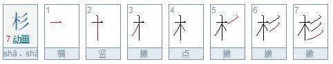 杉这个字怎么组词和造句