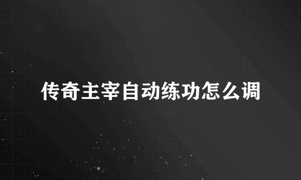传奇主宰自动练功怎么调