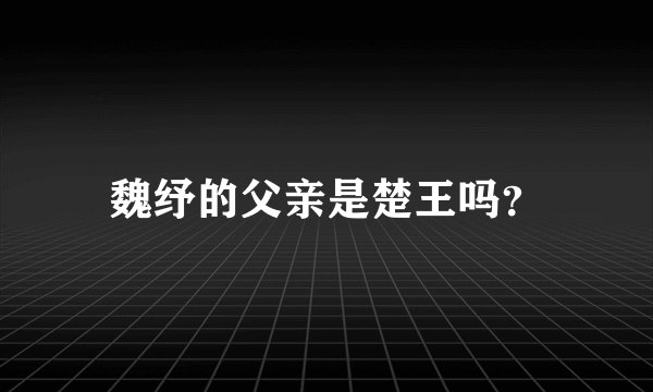 魏纾的父亲是楚王吗？