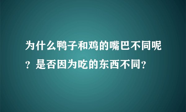 为什么鸭子和鸡的嘴巴不同呢？是否因为吃的东西不同？