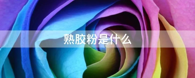 熟胶粉是什么