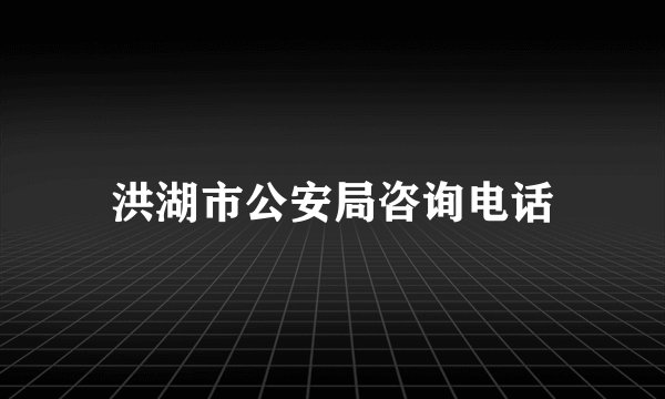 洪湖市公安局咨询电话