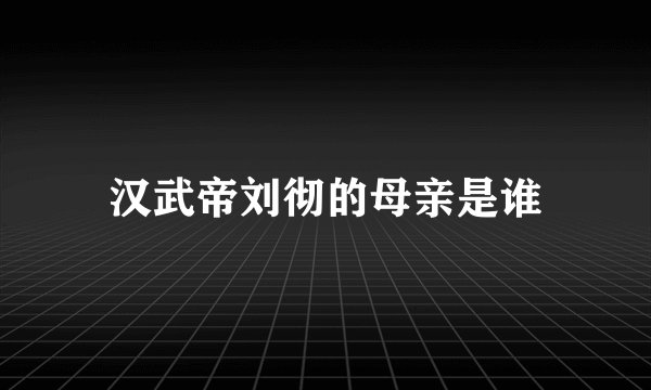 汉武帝刘彻的母亲是谁