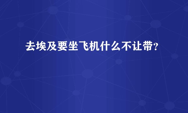去埃及要坐飞机什么不让带？