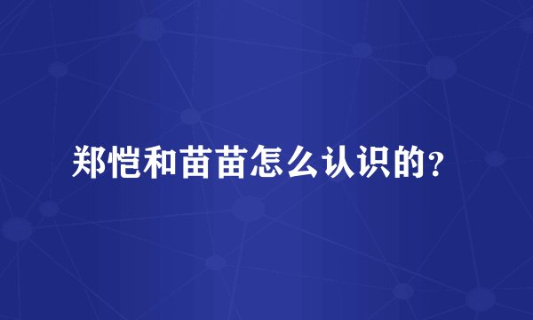 郑恺和苗苗怎么认识的？