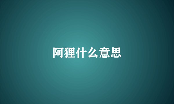 阿狸什么意思