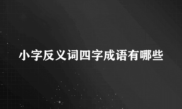 小字反义词四字成语有哪些