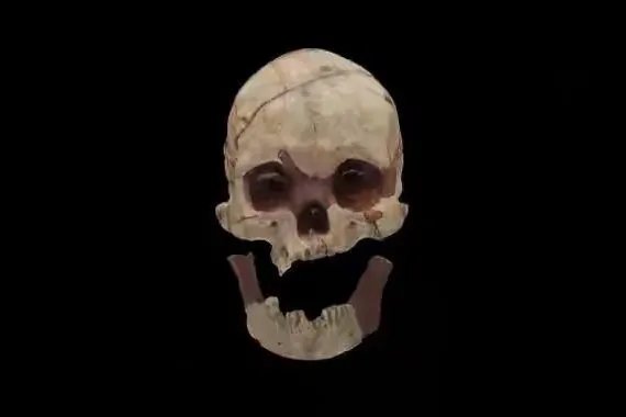16000年前的人头骨化石被发现，骨化石主人生前是干啥的？有什么地位？