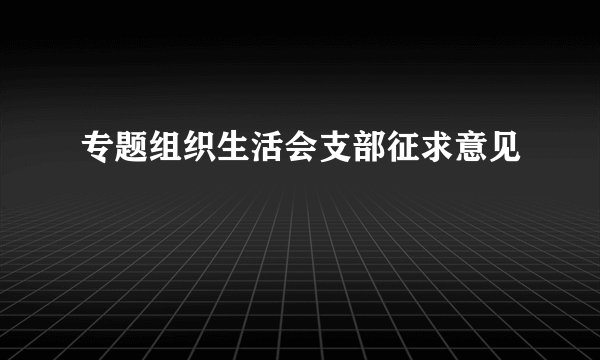 专题组织生活会支部征求意见