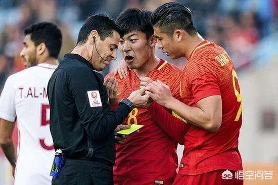 法加尼和德国