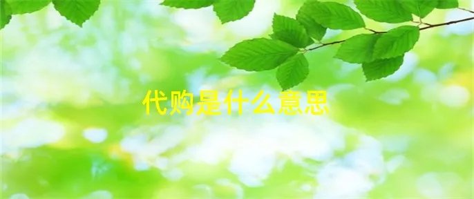 代购是什么意思