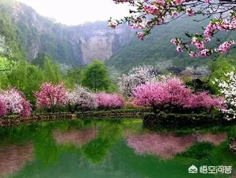 蒋大为唱的那首《在那桃花盛开的地方》,到底是哪个地方?