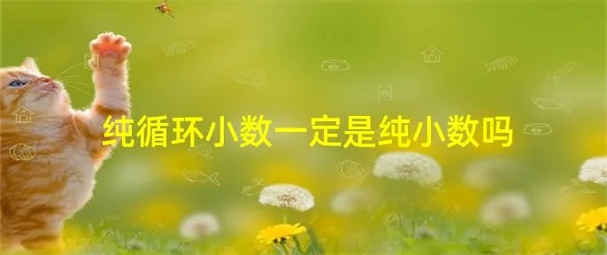 纯循环小数一定是纯小数吗