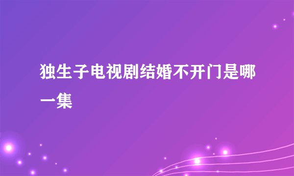 独生子电视剧结婚不开门是哪一集