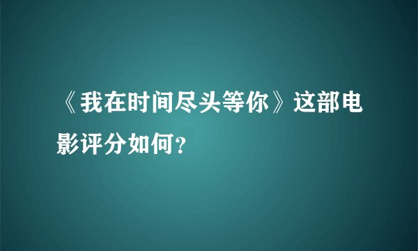 《我在时间尽头等你》这部电影评分如何?