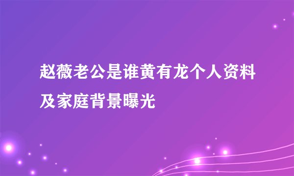 赵薇老公是谁黄有龙个人资料及家庭背景曝光